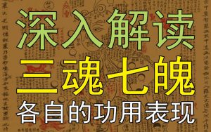 魂魄主导着人的哪些生命活动?中医视角深入解读“三魂七魄”【国学堂梁冬对话徐文兵】-齐物书舍