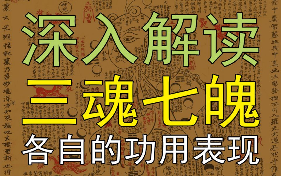 魂魄主导着人的哪些生命活动？中医视角深入解读“三魂七魄”【国学堂梁冬对话徐文兵】-齐物书舍