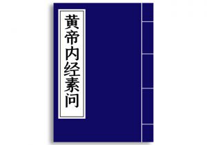 黄帝内经素问-齐物书舍