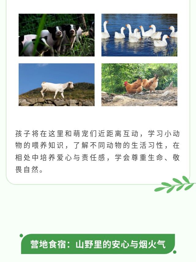 图片[25]-卓越少年周末独立营 | 2天1晚，在山野间长成自带光芒的少年-龙门秘境