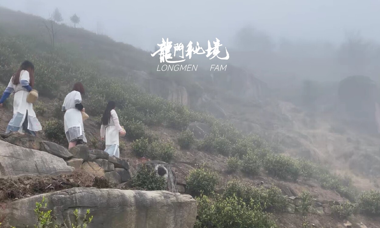 幻灯片-龙门秘境