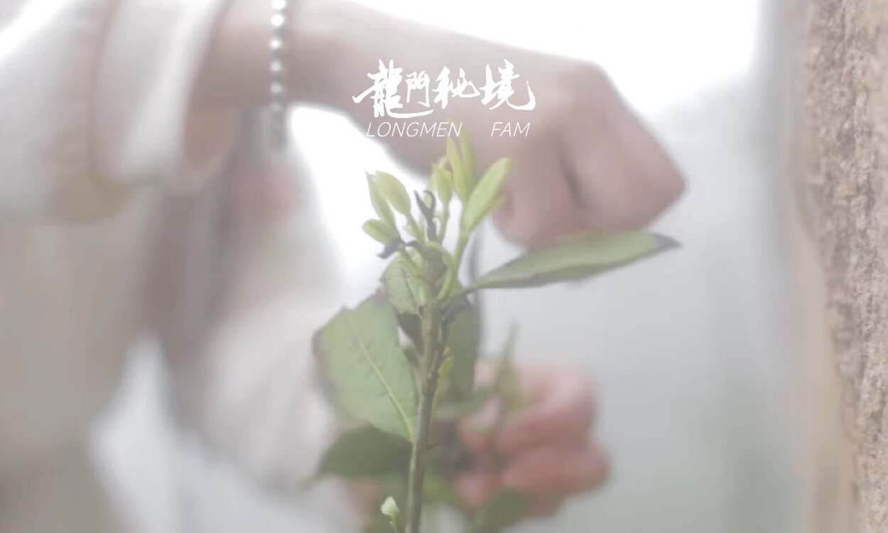 幻灯片-龙门秘境