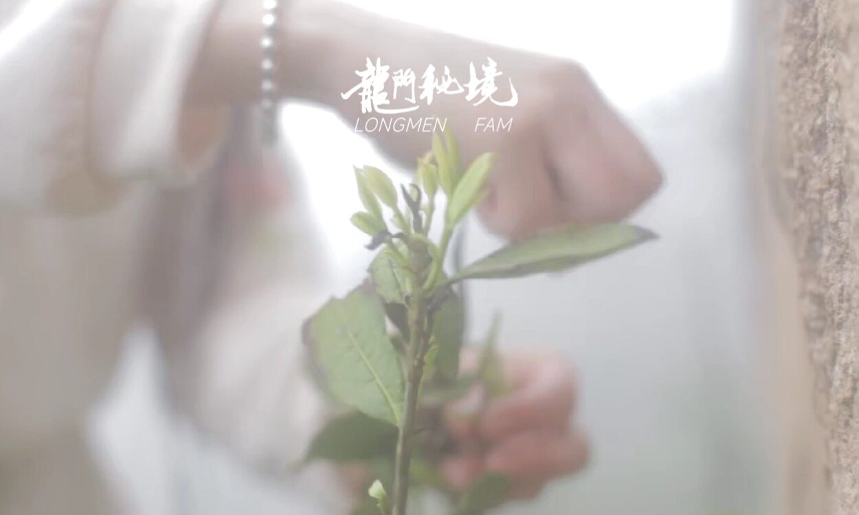 幻灯片-龙门秘境