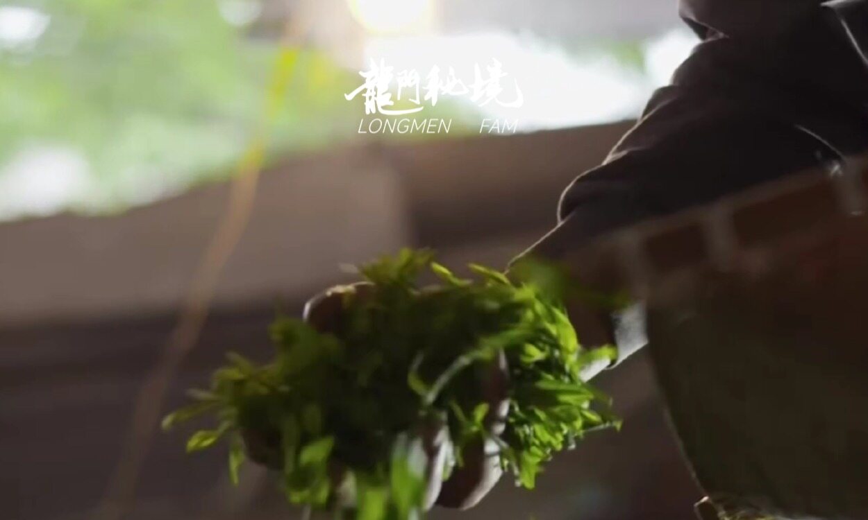 幻灯片-龙门秘境
