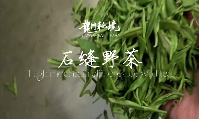 石缝野茶-龙门秘境高山野茶三品种组合礼盒-龙门秘境