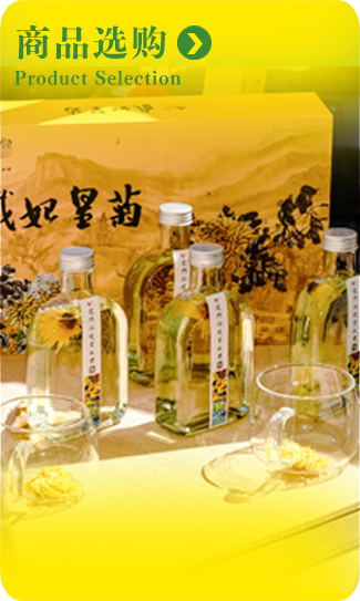 实物商品-龙门秘境