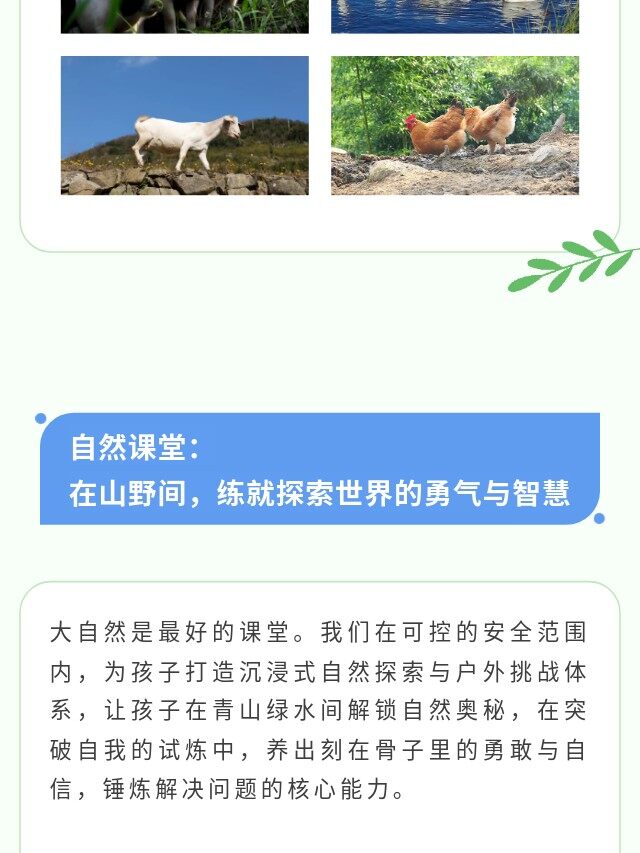 图片[14]-卓越少年之山野耕读成长记 | 14 天沉浸式夏令营，在青山绿水间育品格、长学识、练担当-龙门秘境