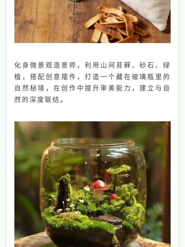 图片[25]-卓越少年之山野耕读成长记 | 14 天沉浸式夏令营，在青山绿水间育品格、长学识、练担当-龙门秘境